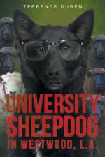 University Sheepdog in Westwood, L.A. af Terrence Duren