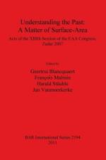 Understanding the Past: a Matter of Surface-Area