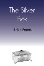 The Silver Box af Brian Peters
