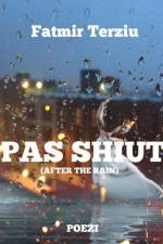 Pas Shiut (After the Rain) af Fatmir Terziu