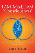 I Am 'Mind' I Am 'Consciousness' af Titus Joseph