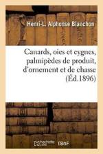Canards, Oies Et Cygnes, Palmipedes de Produit, d'Ornement Et de Chasse af Henri-L Alphonse Blanchon