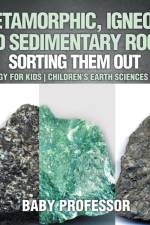 Metamorphic, Igneous and Sedimentary Rocks af Baby Professor
