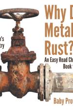 Why Do Metals Rust? an Easy Read Chemistry Book for Kids af Baby Professor
