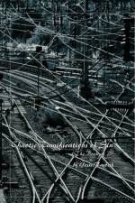 Chaotic Ramifications of Sin af Yossi Faybish