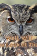 Well, Will You Look at That? Eyes af Lucy McCullough Hazlehurst
