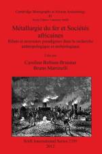 Metallurgie du fer et Societes africaines