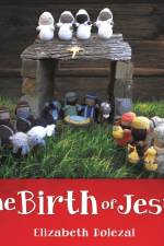 Birth of Jesus af Elizabeth Dolezal