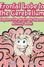 Frontal Lobe to the Cerebellum