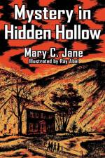 Mystery in Hidden Hollow af Mary C Jane