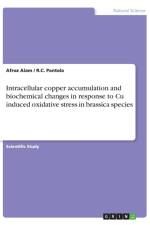 Intracellular copper accumulation and biochemical changes in response to Cu induced oxidative stress in brassica species af Afroz Alam
