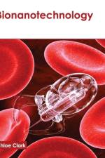 Bionanotechnology
