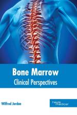 Bone Marrow: Clinical Perspectives