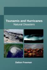 Tsunamis and Hurricanes: Natural Disasters