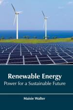 Renewable Energy: Power for a Sustainable Future