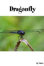 Dragonfly af Marie Mohler