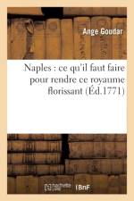 Naples: Ce Qu'il Faut Faire Pour Rendre Ce Royaume Florissant af Ange Goudar