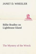 Billie Bradley on Lighthouse Island The Mystery of the Wreck af Janet D Wheeler