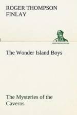 Wonder Island Boys