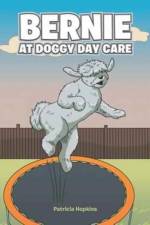 Bernie at Doggy Day Care
