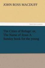 Cities of Refuge af John R (John Ross) Macduff