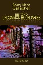 Beyond Uncommon Boundaries af Sherry Marie Gallagher