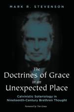 Doctrines of Grace in an Unexpected Place af Mark R Stevenson