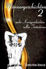 Mannergeschichten 2 af Torsten Ideus