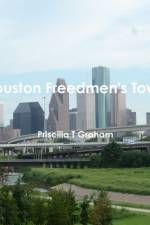 Houston Freedmen's Town af Priscilla T Graham