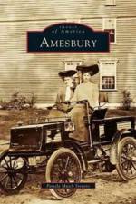 Amesbury af Pamela Mutch Stevens