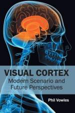 Visual Cortex: Modern Scenario and Future Perspectives