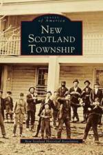 New Scotland Township
