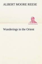 Wanderings in the Orient af A M (Albert Moore) Reese