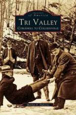 Tri Valley, Cobleskill to Colliersville af Marilyn E DuFresne