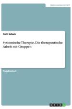 Systemische Therapie. Die therapeutische Arbeit mit Gruppen af Nelli Schulz