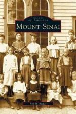 Mount Sinai af Ann M Becker