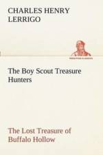 Boy Scout Treasure Hunters The Lost Treasure of Buffalo Hollow af Charles Henry Lerrigo