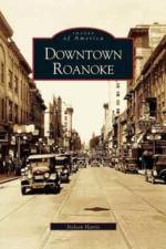 Downtown Roanoke af Nelson Harris