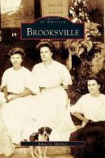 Brooksville af Robert G Martinez