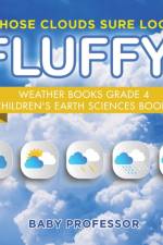 Those Clouds Sure Look Fluffy! Weather Books Grade 4 Children's Earth Sciences Books af Baby Professor