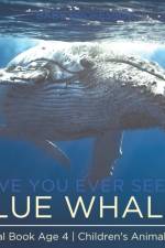 Have You Ever Seen A Blue Whale? Animal Book Age 4 Children's Animal Books af Baby Professor