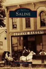 Saline af Susan Kosky