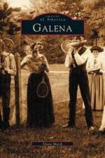 Galena, Illinois af Diann Marsh