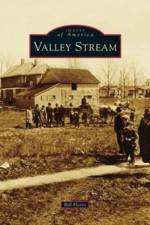 Valley Stream af Bill Florio