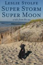 Super Storm Super Moon af Leslie Stolfe