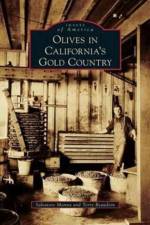 Olives in California's Gold Country af Salvatore Manna