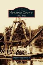 Newaygo County 1850-1920 af Newaygo County Society of History and Ge