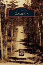 Cambria af Wayne Attoe