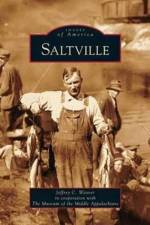 Saltville af Jeffrey C Weaver