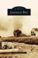 Jamaica Bay af Daniel Hendrick